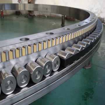 NFP 6/723.795 Q4/C9-1 Rotary Table Bearings