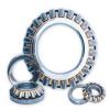 NFP 6/596.9Q4/C9 Rotary Table Bearings