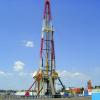 10929/800QU Petro Drill Bearing #1 small image