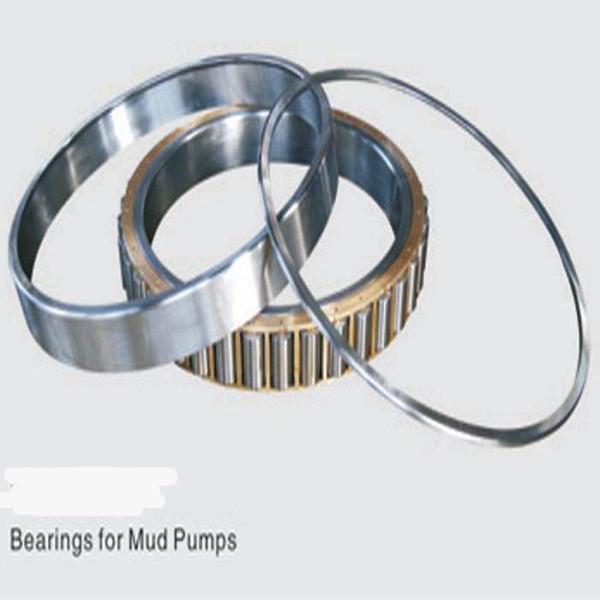 NUP 6/571.5 Q4 Rotary Table Bearings #4 image