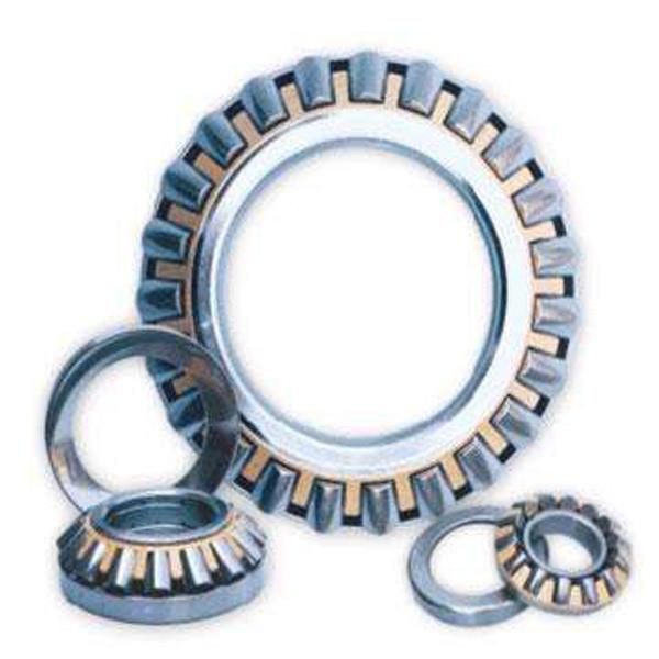 NUP76662 Rotary Table Bearings #4 image